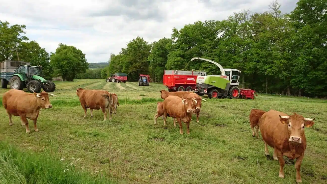 mixed-farming